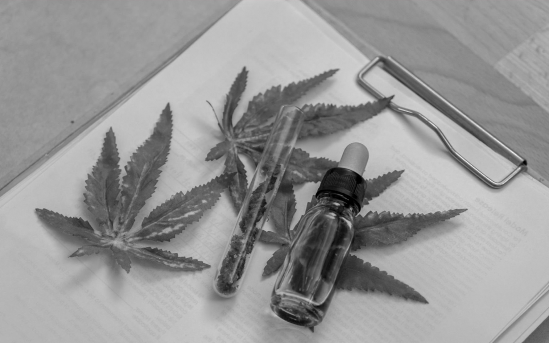 Importação de cannabis medicinal no Brasil está em risco