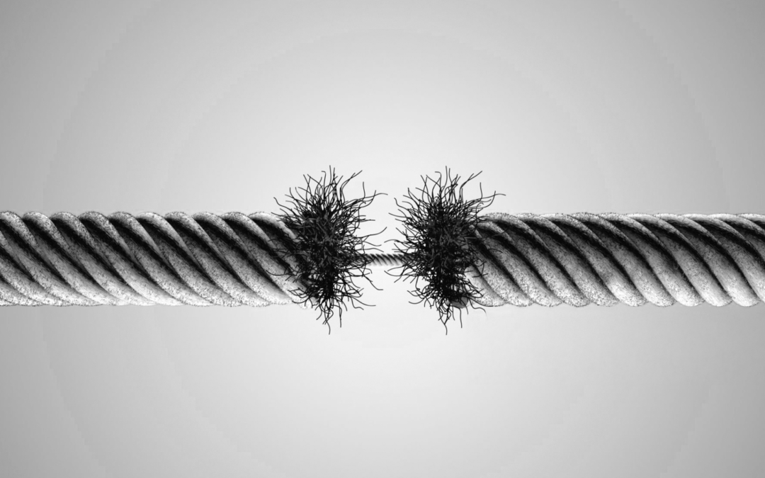 Autobiografia não autorizada